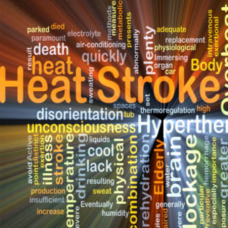 0731   Heat Stroke TN