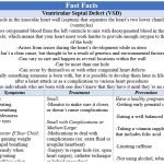 Fast Facts - VSD