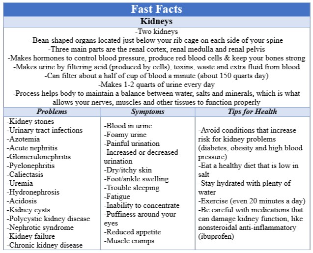 Fast Facts Kidneys