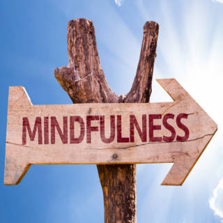 0212 Mindfulness TN