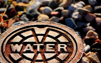 Water — Why do we need to worry about it?