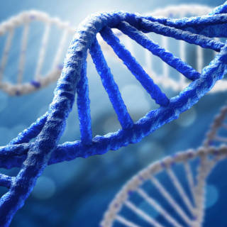 DNA Testing & Privacy