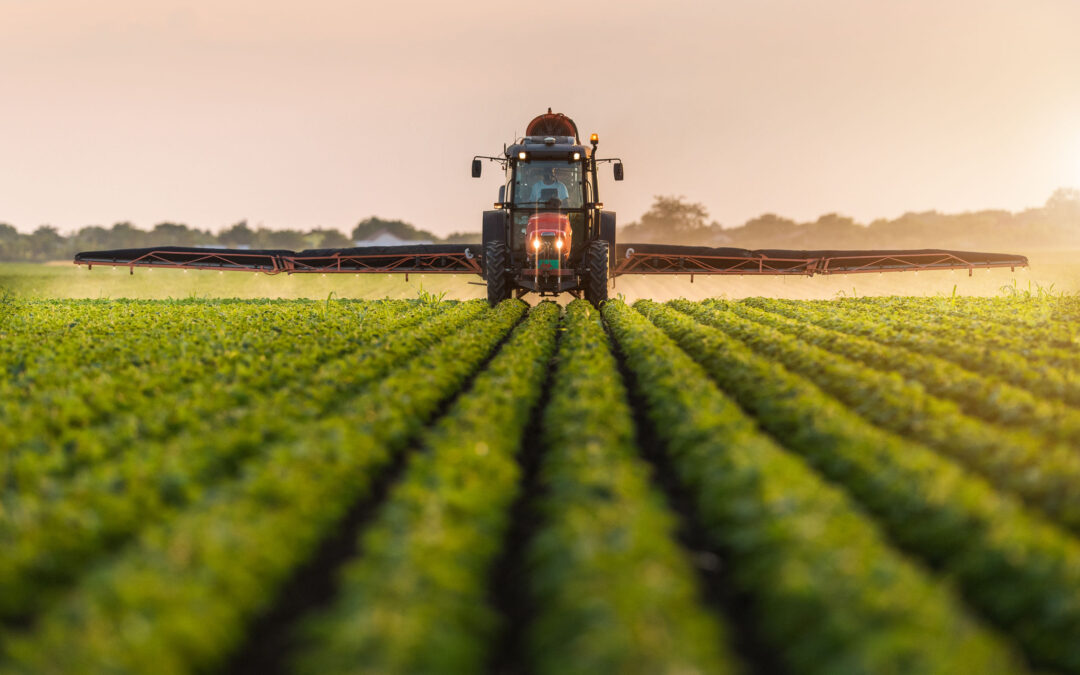 What are the Dangers of Using Pesticides on Food?