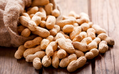 Is a Peanut Allergy Cure Possible?