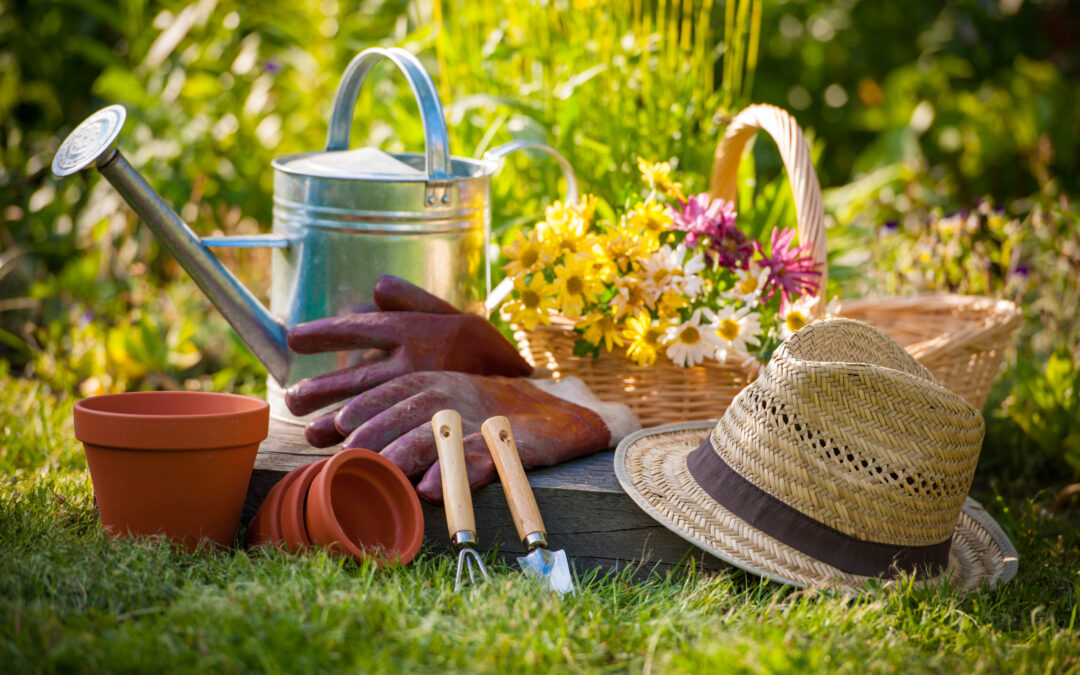 11 Health Benefits of Gardening